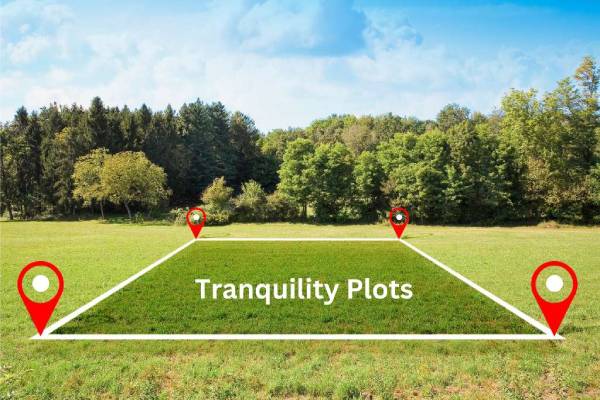 An An image showing lovely grass land comprising of Tranquility Plots in Ambattur